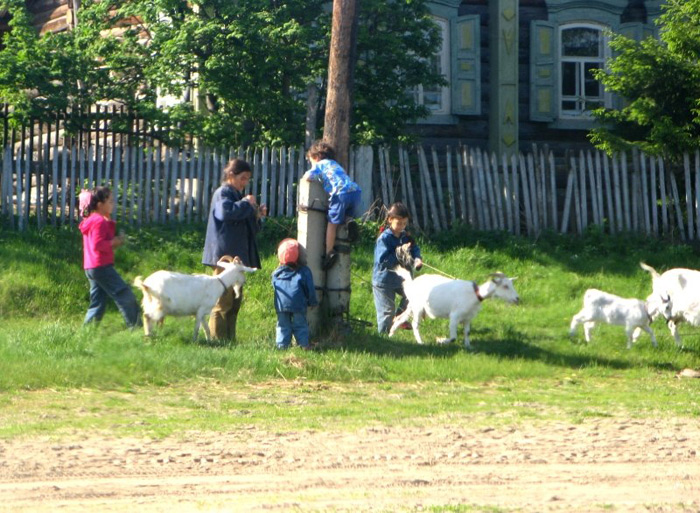 деревня окунево